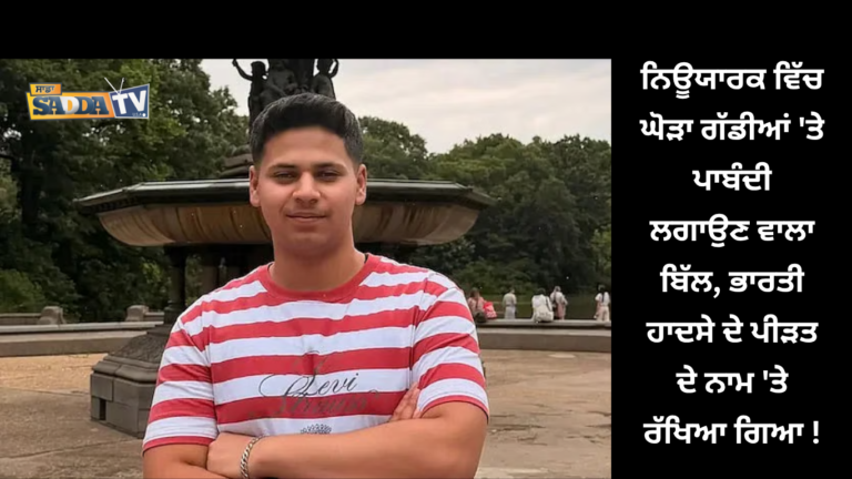ਨਿਊਯਾਰਕ ਵਿੱਚ ਘੋੜਾ ਗੱਡੀਆਂ ‘ਤੇ ਪਾਬੰਦੀ ਲਗਾਉਣ ਵਾਲਾ ਬਿੱਲ, ਭਾਰਤੀ ਹਾਦਸੇ ਦੇ ਪੀੜਤ ਦੇ ਨਾਮ ‘ਤੇ ਰੱਖਿਆ ਗਿਆ !